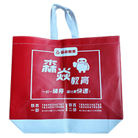 三沙LB37培训班广告袋